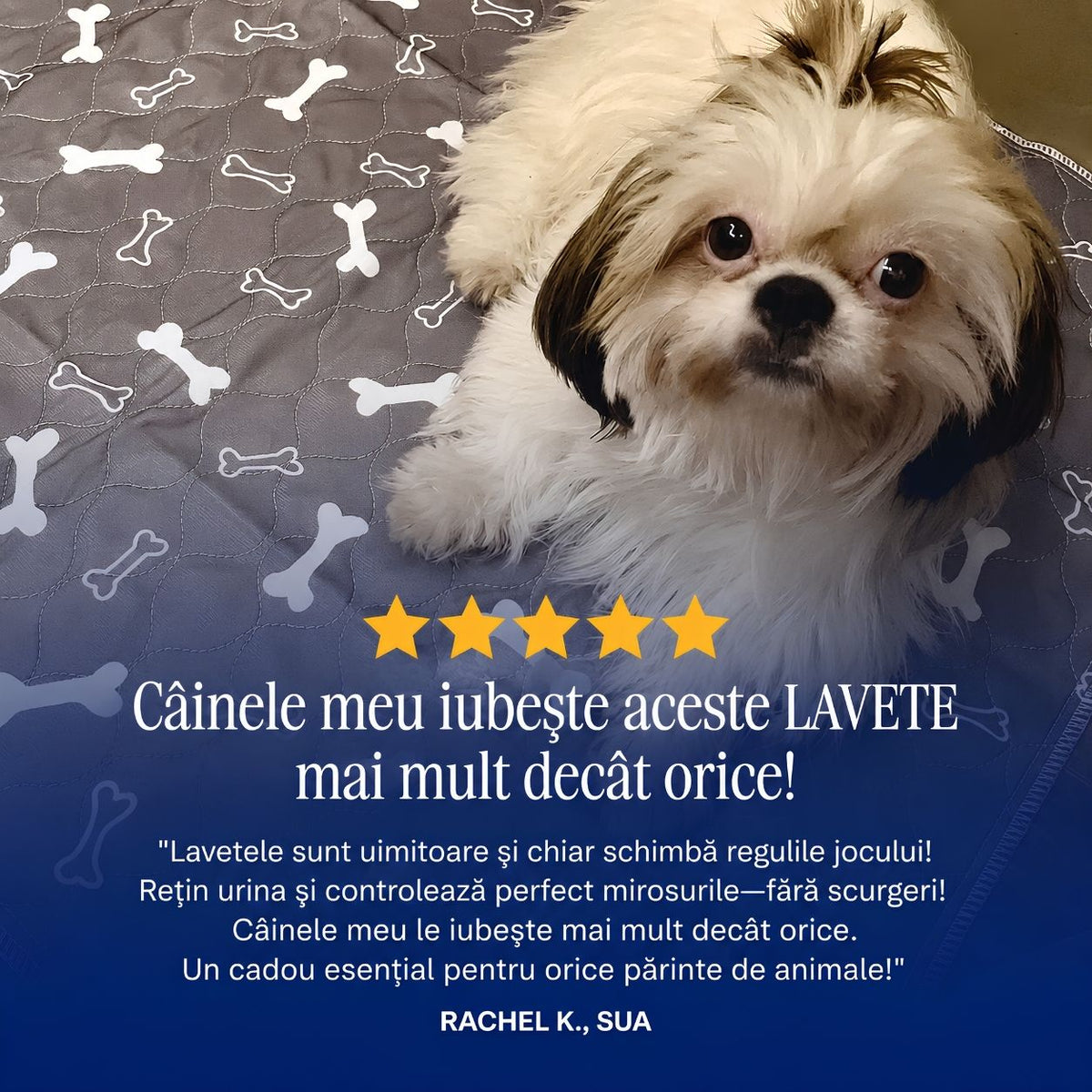 PaviPad