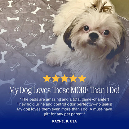 Köpek pedi